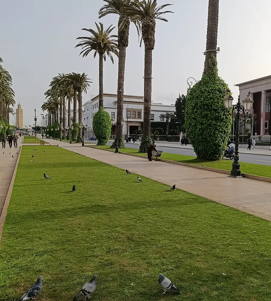 Séminaire entreprise à Rabat au Maroc