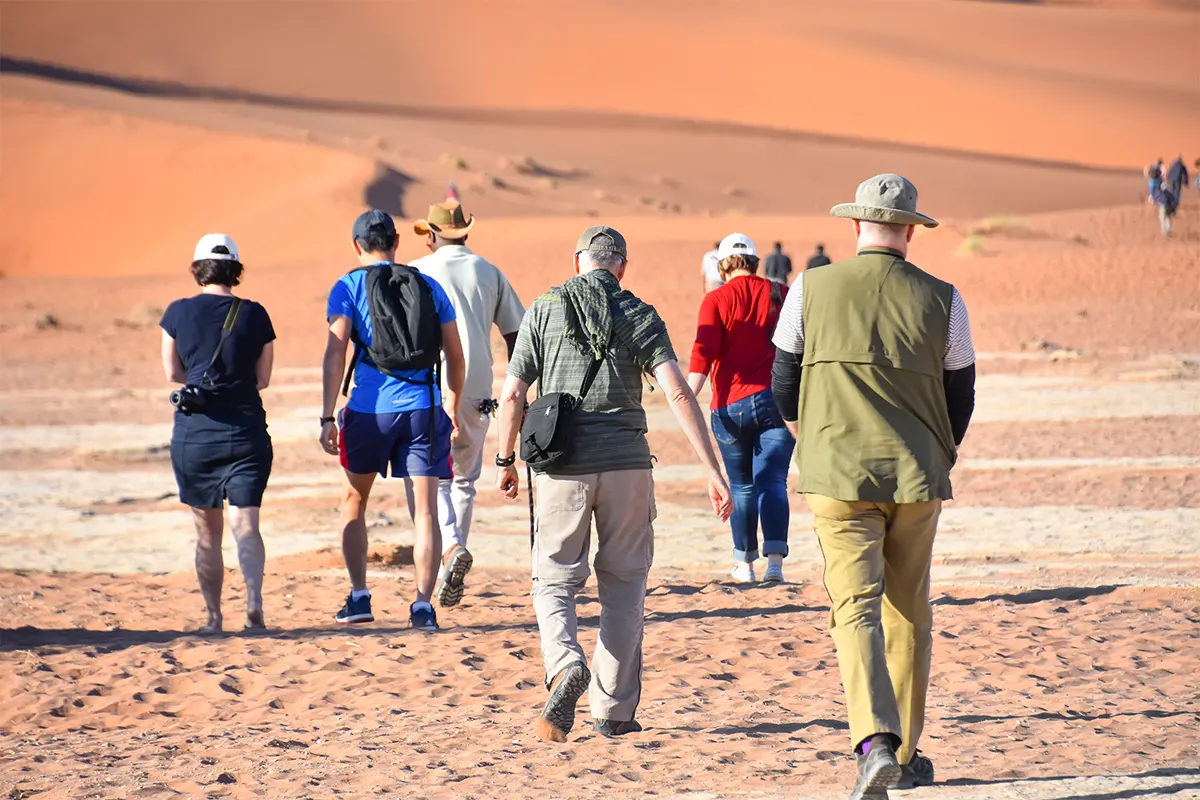 Activités de team building pour entreprise au Maroc